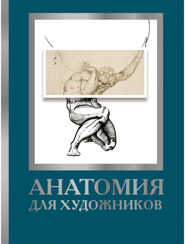 Анатомия для художников. Крауч Д.