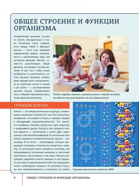 Атлас анатомии человека с дополненной реальностью. Спектор А.А.