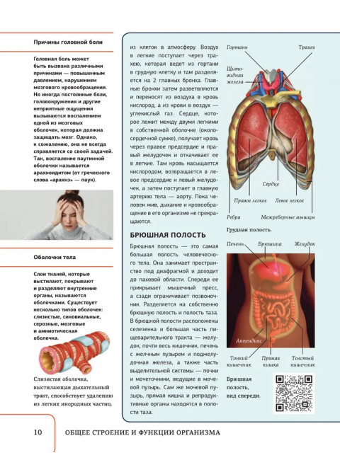 Атлас анатомии человека с дополненной реальностью. Спектор А.А.