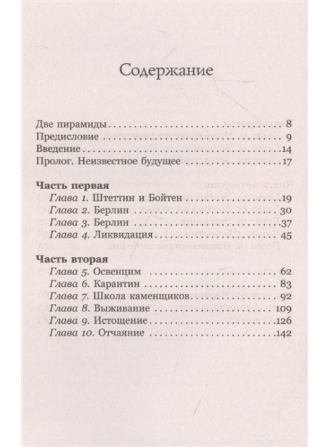 Мальчик, который нарисовал Освенцим. Гив Т.