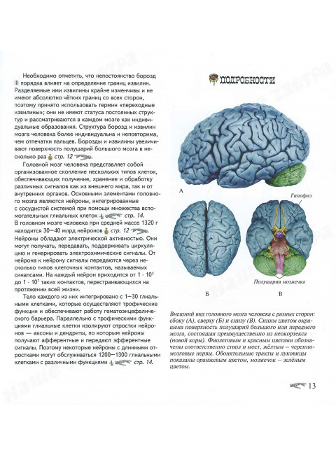 Изменчивость и гениальность. Савельев С.В.