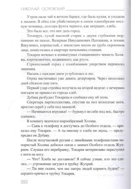 Как закалялась сталь. Островский Н.А.