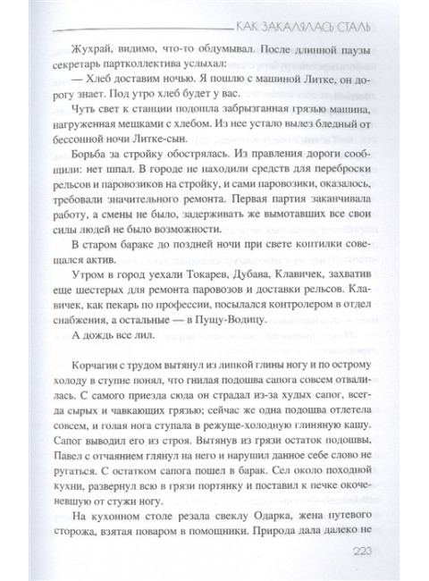Как закалялась сталь. Островский Н.А.