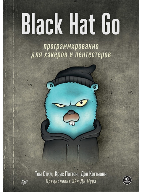 Black Hat Go: Программирование для хакеров и пентестеров. Стил Т.