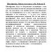 Шизофрения. Найти и потерять себя. Файлер Н.