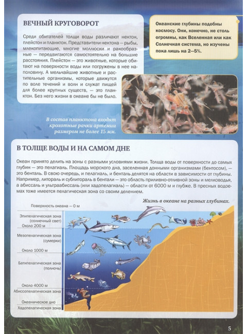 Подводный мир. Спектор А.А., Гордеева Е.А.