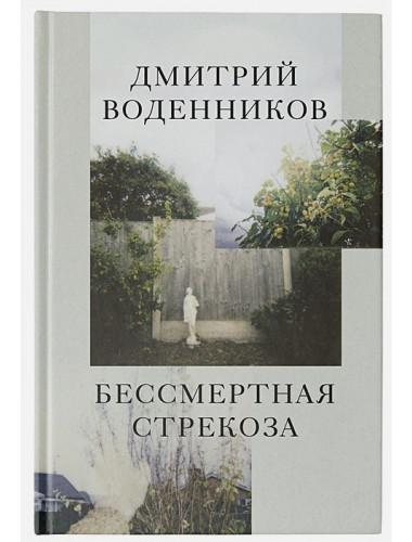 Бессмертная стрекоза. Воденников Д.Б.