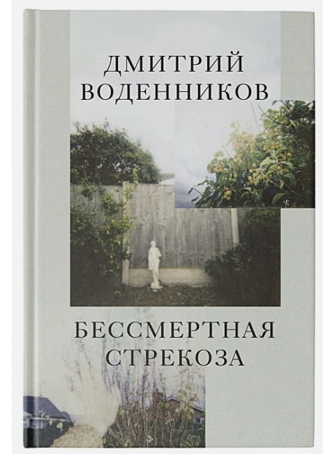 Бессмертная стрекоза. Воденников Д.Б.