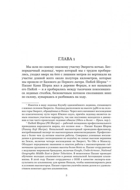 Следующий Эверест. Как я выжил в самый смертоносный день в горах и обрел силы попробовать достичь вершины снова. Дэвидсон Д.