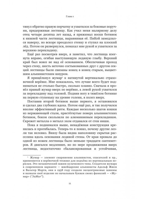 Следующий Эверест. Как я выжил в самый смертоносный день в горах и обрел силы попробовать достичь вершины снова. Дэвидсон Д.