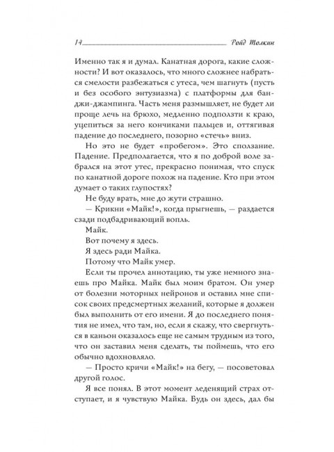 Вдаль и вдаль ведут дороги. Путешествие двух братьев. Толкин Р.