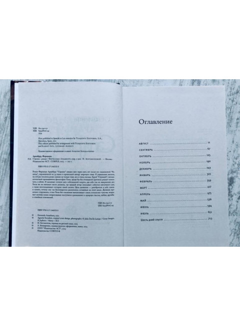 Стрижи. Арамбуру Ф.