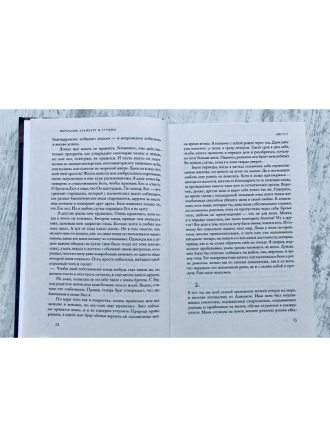 Стрижи. Арамбуру Ф.