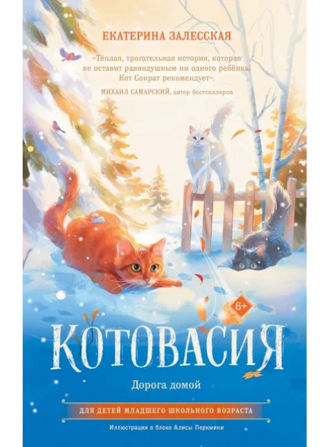 Котовасия. Дорога домой. Залесская Е.В.