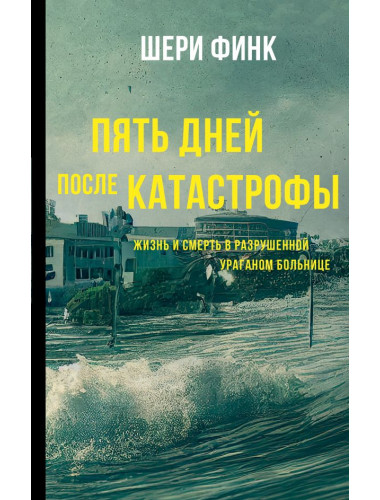 Пять дней после катастрофы. Финк Ш.