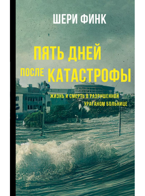 Пять дней после катастрофы. Финк Ш.