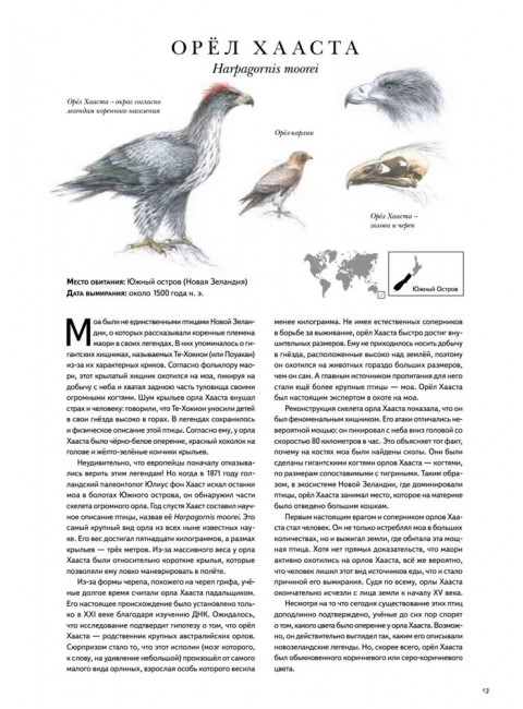 Книга исчезнувших животных. BIObook А. Толмачёва, Малый Р.