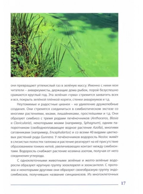 Кто с кем дружит в природе, или Причуды симбиоза. Василий Климов.
