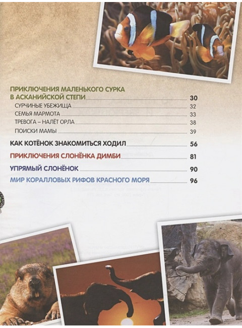О птичках, рыбках и зверюшках. Василий Климов.