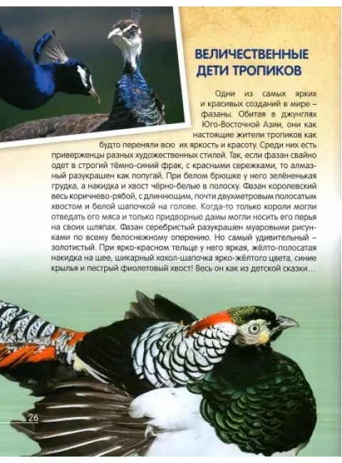 О птичках, рыбках и зверюшках. Василий Климов.