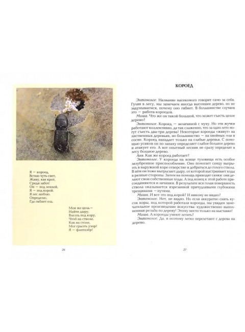 Здравствуйте, насекомые. Несмеянова М.А.