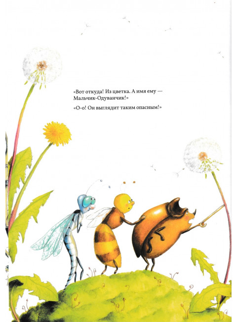 Книга цветов. Мальчик-Одуванчик. Елена Храброва