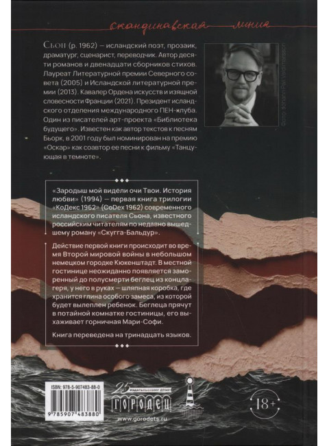 Зародыш мой видели очи Твои. История любви. Сьон.