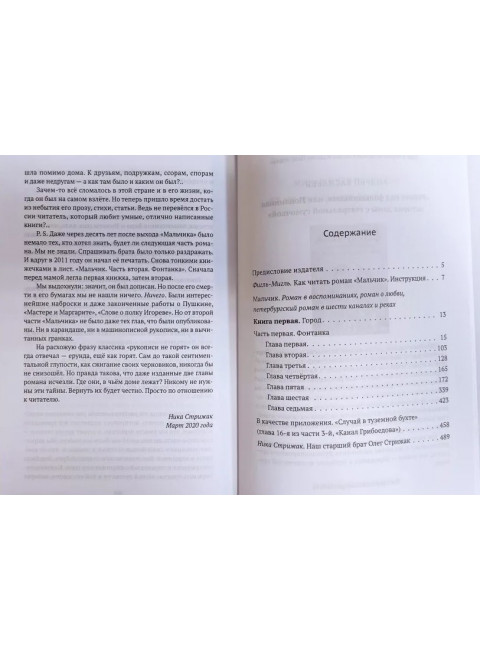 Мальчик. Олег Стрижак.