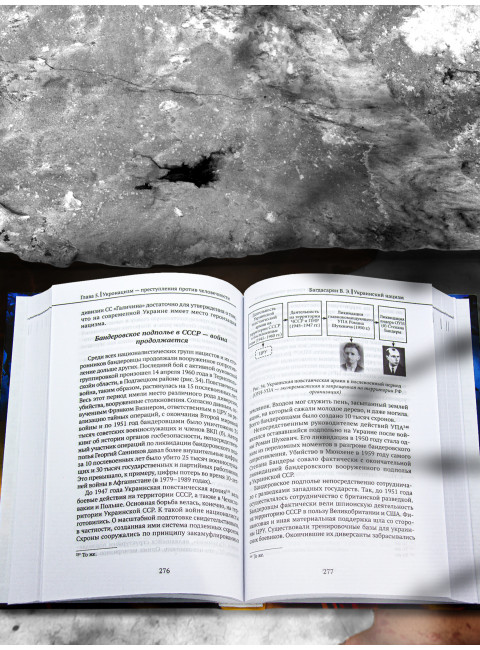 Украинский нацизм: исторические истоки. Багдасарян В.Э.