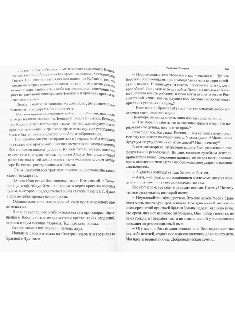 Русская Вандея. Калинин И.М.