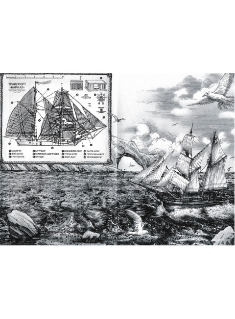 Роза ветров. Геласимов А.