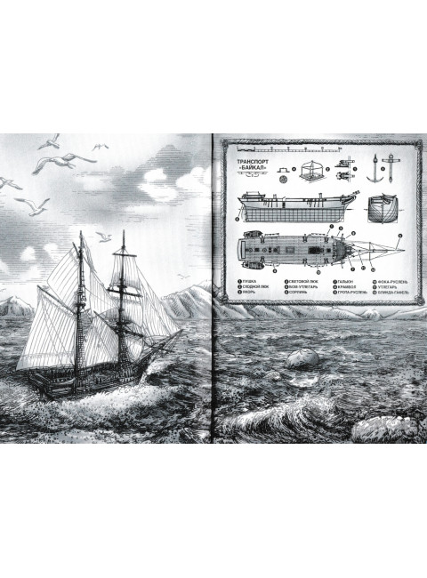 Роза ветров. Геласимов А.