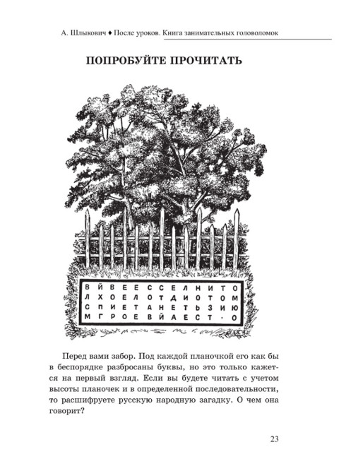 После уроков. Книга занимательных головоломок. Шлыкович А.