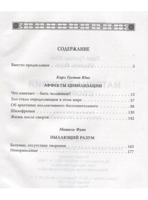 Матрица безумия. Юнг К., Фуко М.