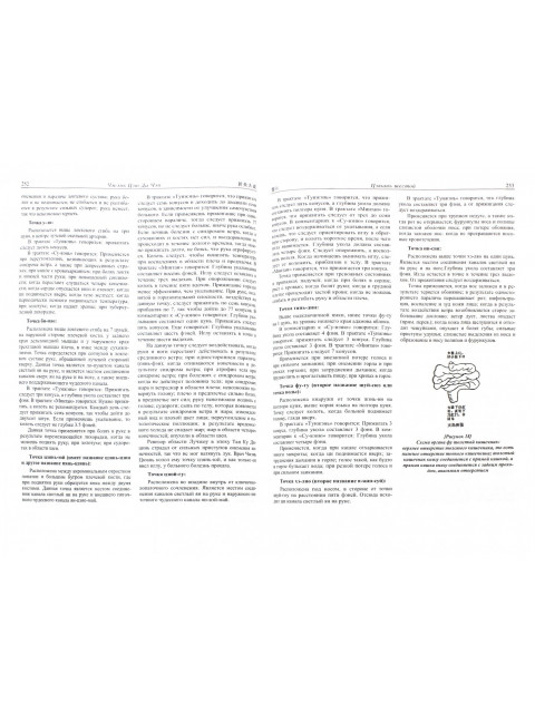 Большие достижения Чжэнь Цзю. Основы акупунктуры. Чжэнь Цзю Да Чэн.