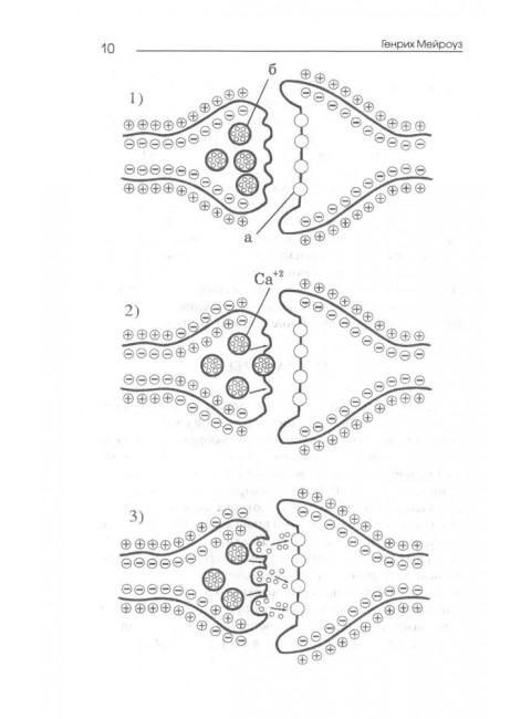 Нутрицевтика как метод психокоррекции. Мейроуз Г.