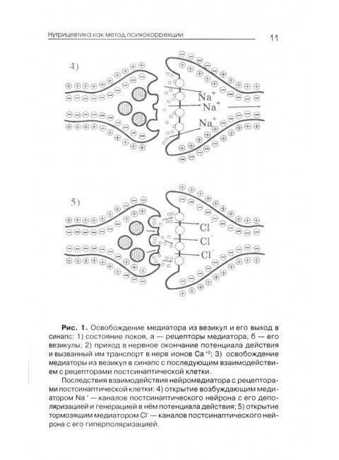 Нутрицевтика как метод психокоррекции. Мейроуз Г.