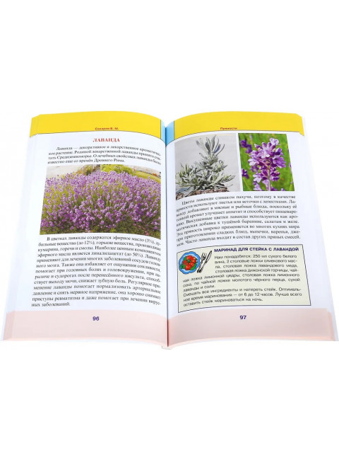 Пряности. Сахаров Б.М.