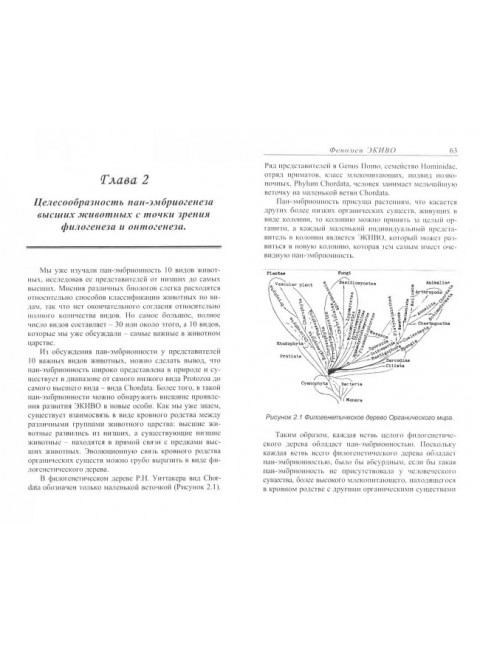 Феномен ЭКИВО. Инцин Чжан