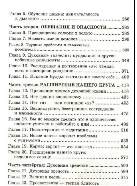 Буддизм и дзэн. Путь к себе: реальность дзадзэн. Путь с сердцем. Негэна Сэндзаки, Рут С.