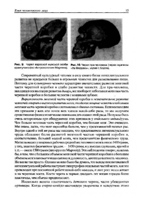 Язык человеческого лица (перевод с немецкого). Ланге Фриц