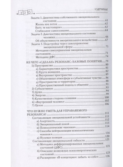 Резонансный интеллект. Искусство понимания, управления и гармонии. Петрушин С.