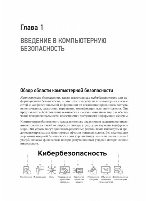 Киберкрепость: всестороннее руководство по компьютерной безопасности. Левашов П.Ю.