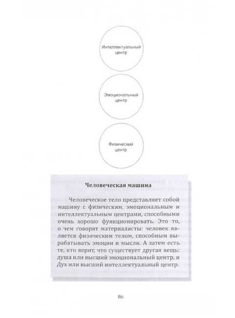 Высшая ступень. Современный духовный путь. Айссель Селим