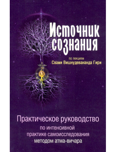 Источник сознания. Свами Вишнудевананда Гири