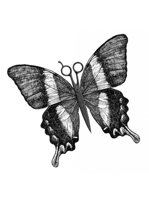 Черные бабочки. Моди
