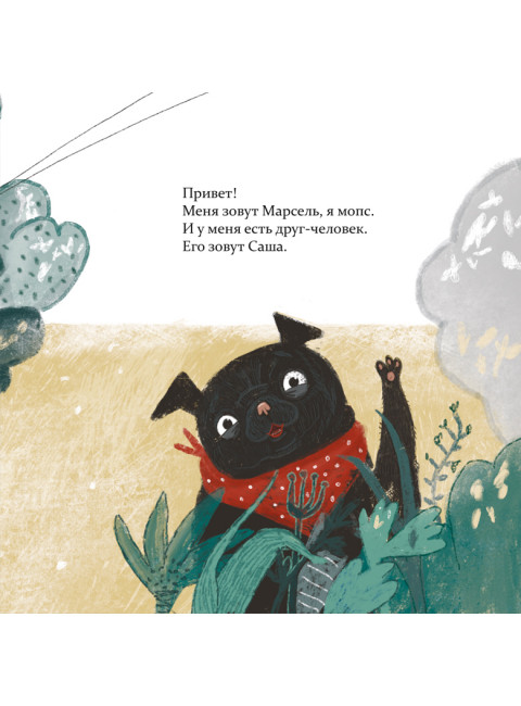 Марсель встаёт на лапы. Саламатина О.