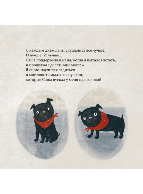 Марсель встаёт на лапы. Саламатина О.