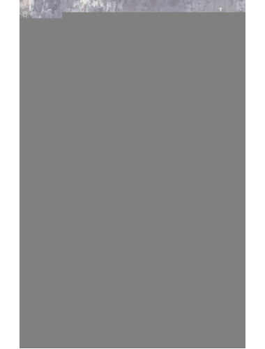 100 великих угроз цивилизации. Бернацкий А.С.