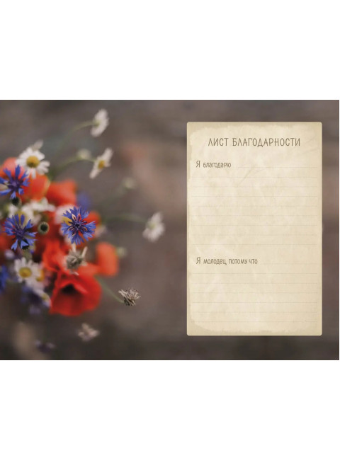 Творчество внутри меня. Следуй к мечте. Цвикевич Кристина